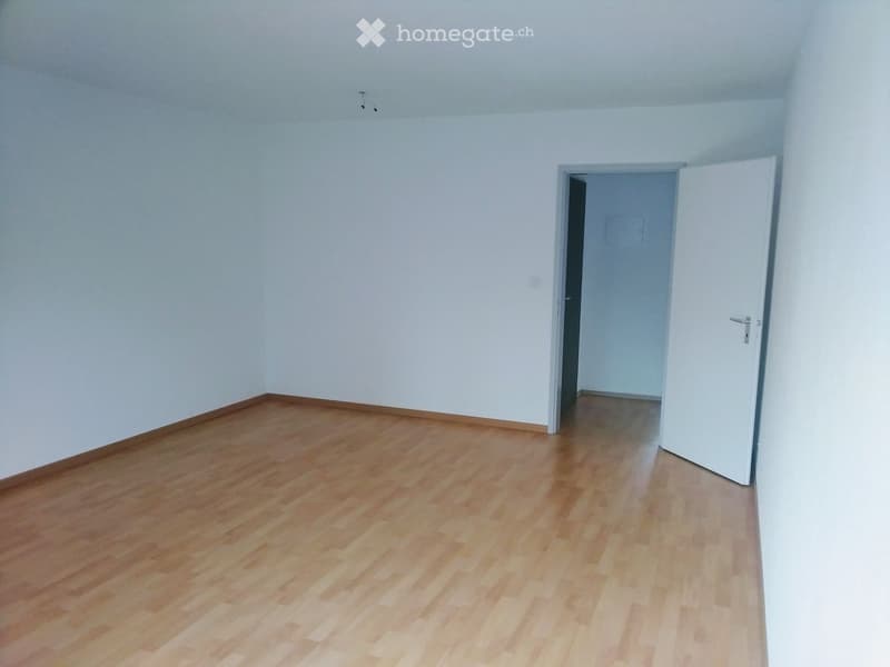 Helle, ruhige Wohnung mit gr. Balkon an bester Lage (1)