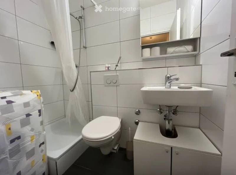 Furnished WG Room in Optimal Location in Basel (4)