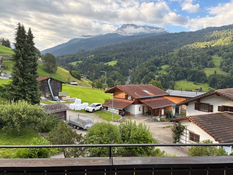 1.5 Zi. Wohnung 55m2 mit Autounterstand (1)