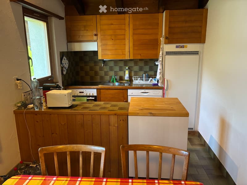 1.5 Zi. Wohnung 55m2 mit Autounterstand (2)