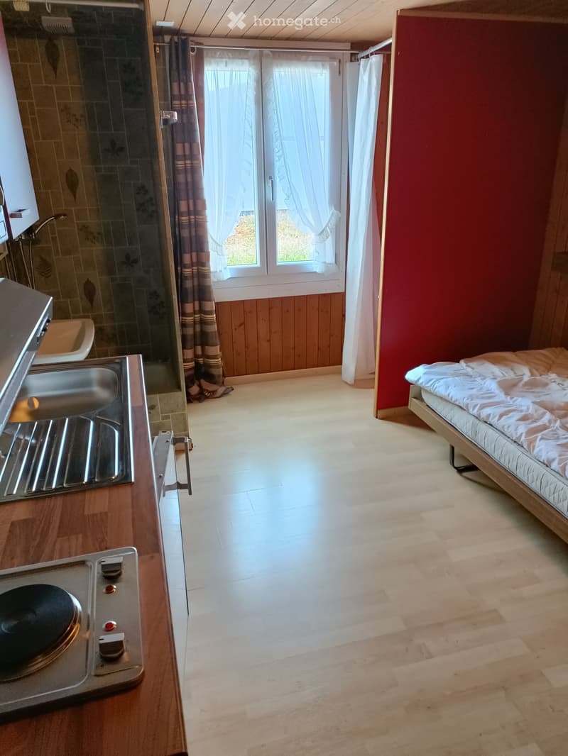 Studios und Wohnung zu Vermieten (1)