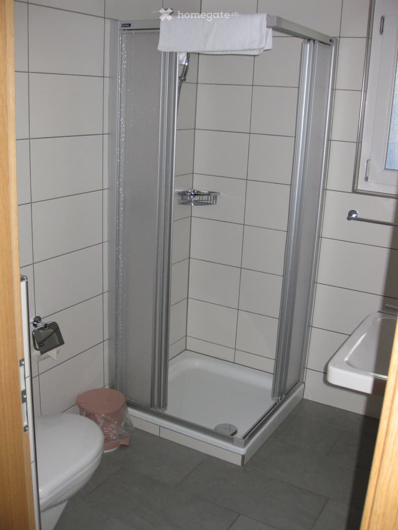 Studios und Wohnung zu Vermieten (2)