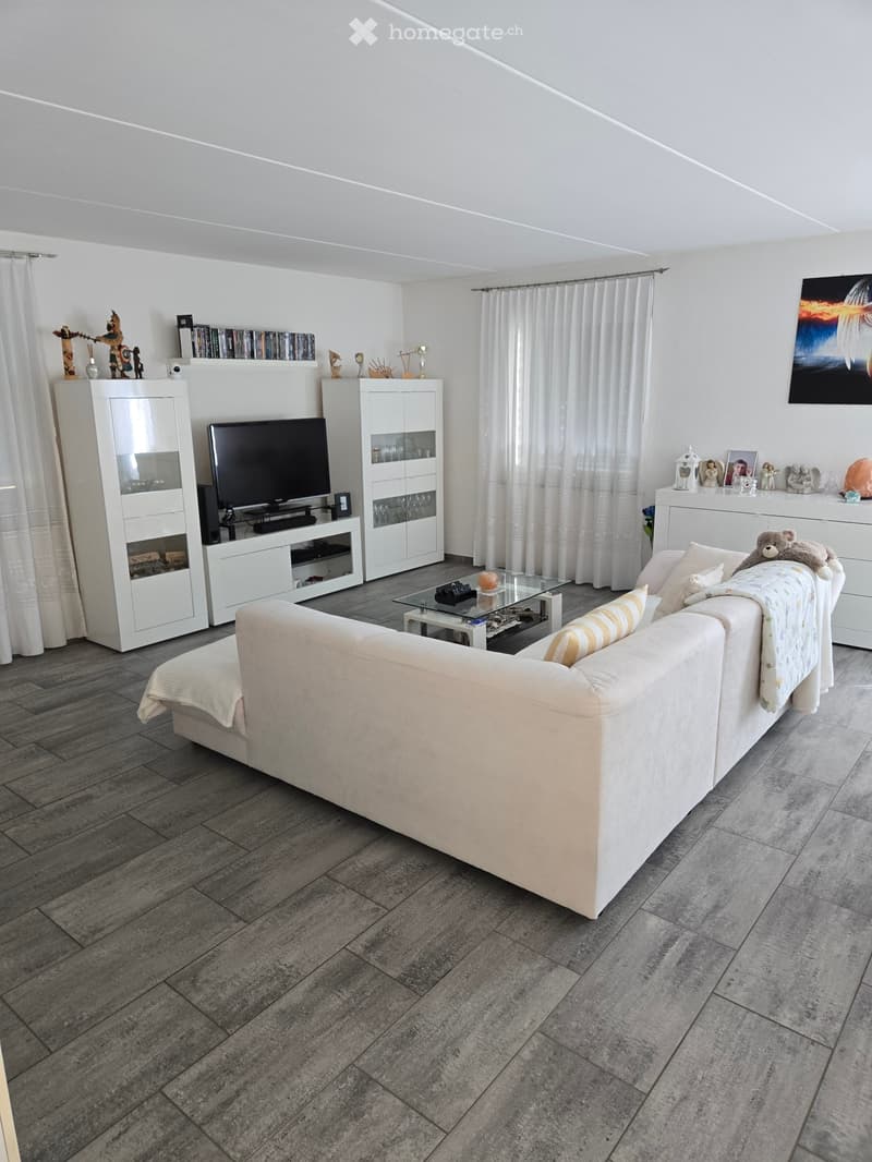 Casa unifamiliare/bifamiliare (4)