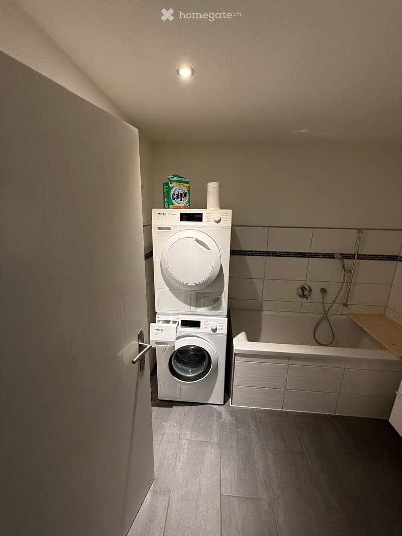 Moderne grosszügige 3.5 Zi Wohnung mit Garten (3)