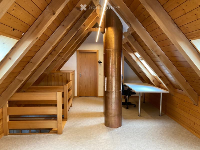 Wohnung im Dachstock (2. und 3. OG) (4)