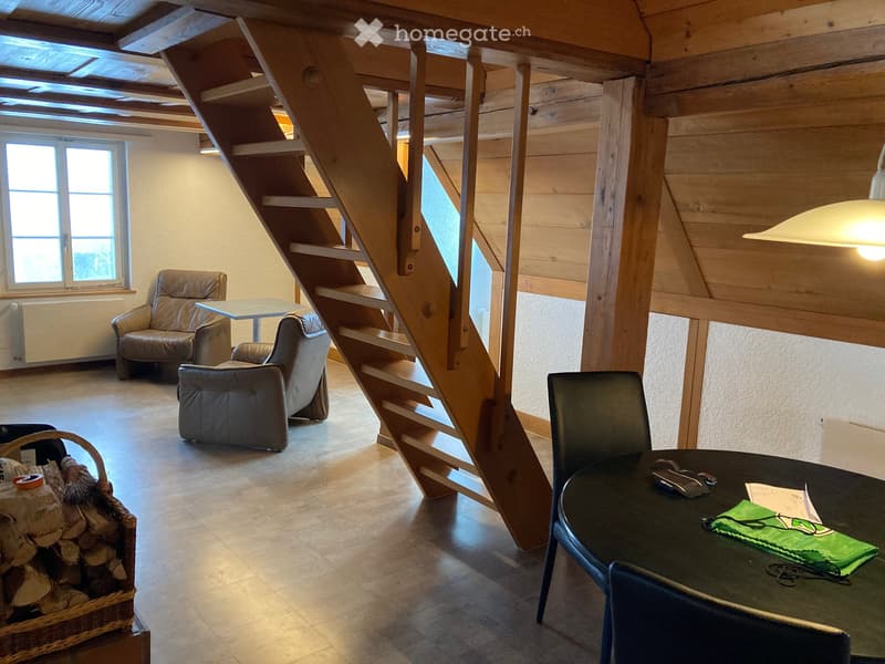 Wohnung im Dachstock (2. und 3. OG) (2)