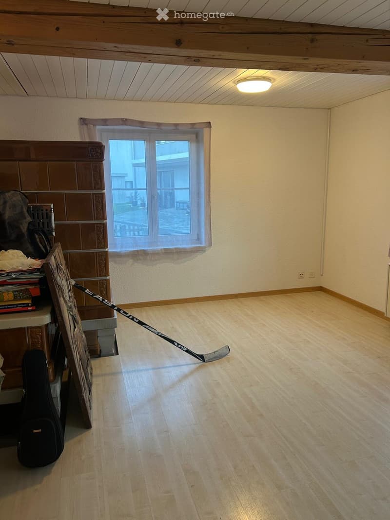 Geräumig charmante Parterre-Wohnung (2)