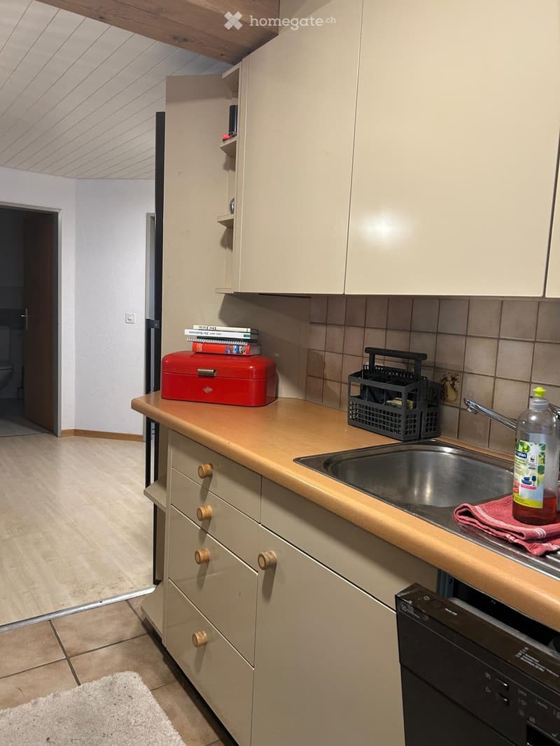 Geräumig charmante Parterre-Wohnung (5)