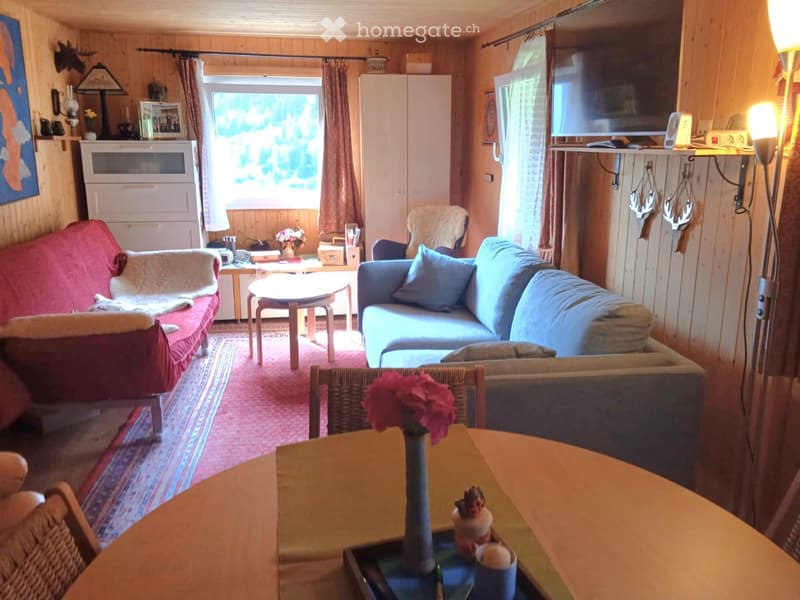 Chalet in Leventina (3)