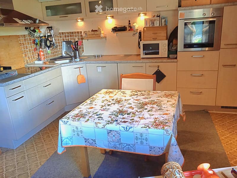 Chalet in Leventina (4)