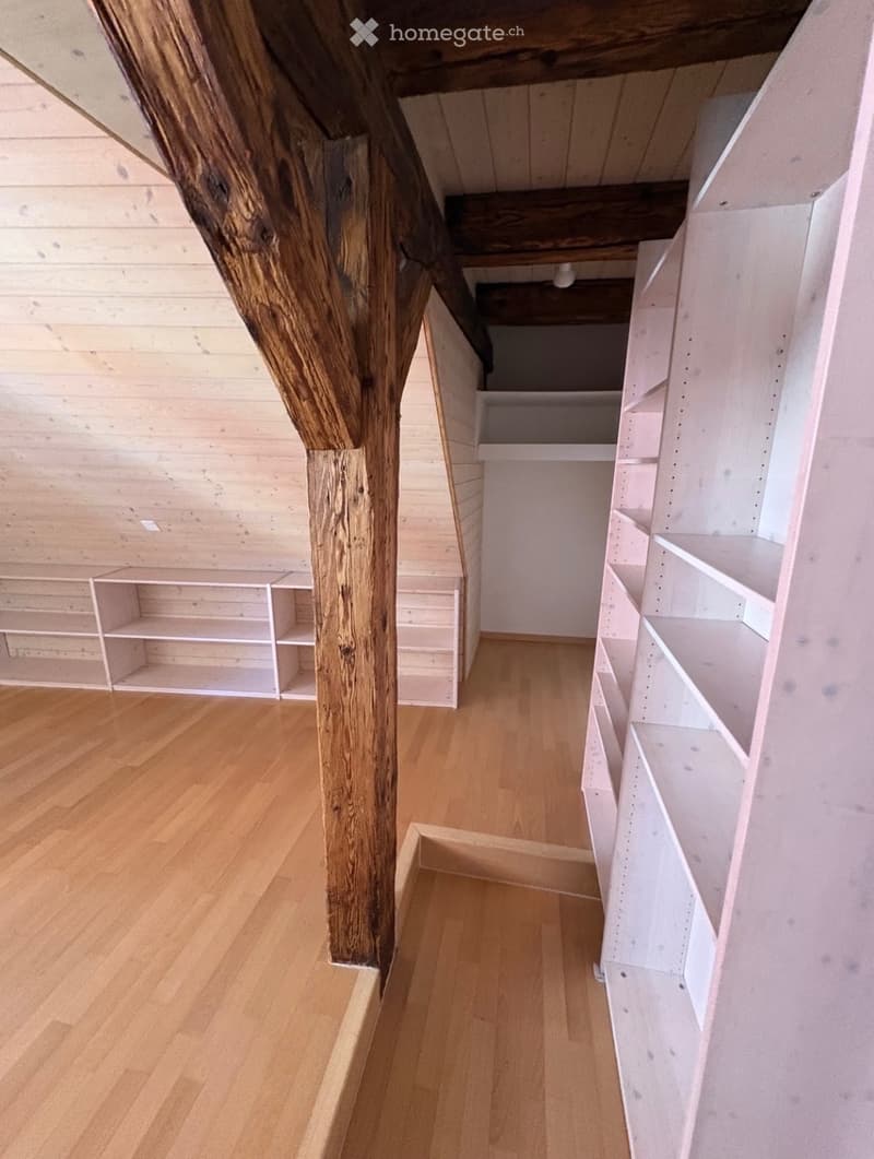WG-Zimmer (2!) in Altstadt (3)