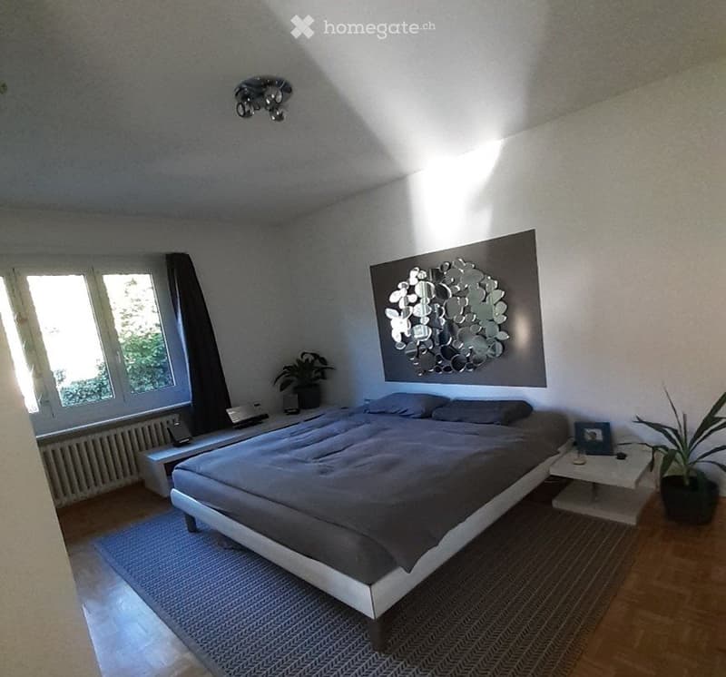 Appartamento in affitto a Savosa (4)