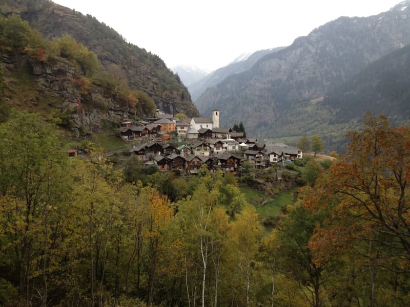 Casa in affitto annuale (4)