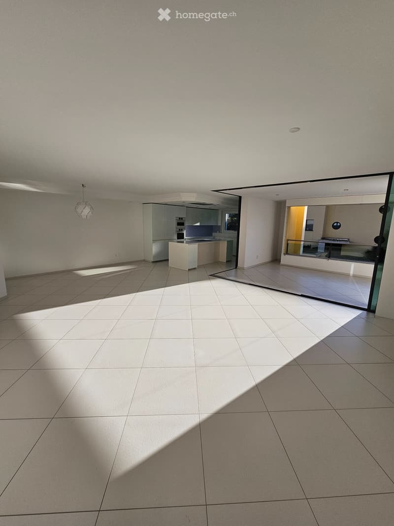 Ascona appartamento 1piano 5.5, 180m2 (3)