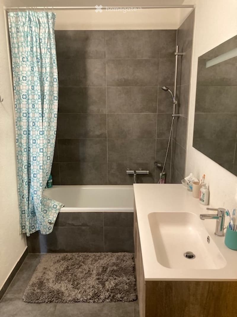 Vendesi casa gemella a Origlio (3)