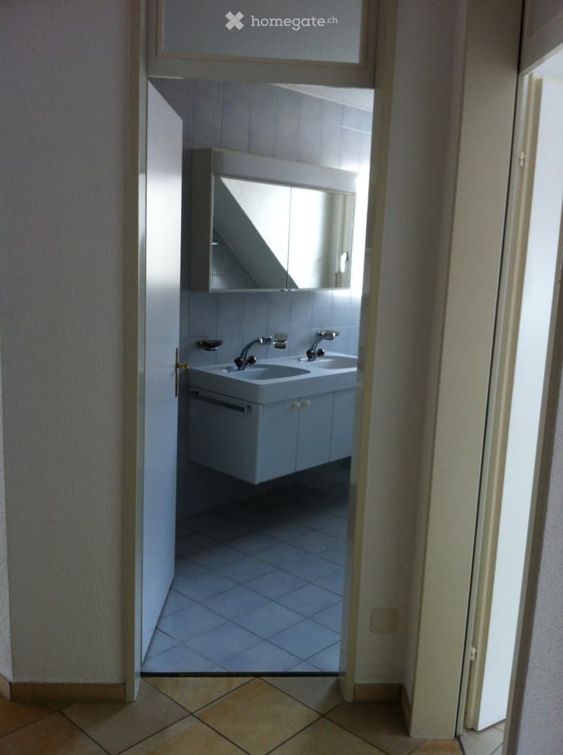 Zu vermieten grosse Galerie-Wohnung (4)