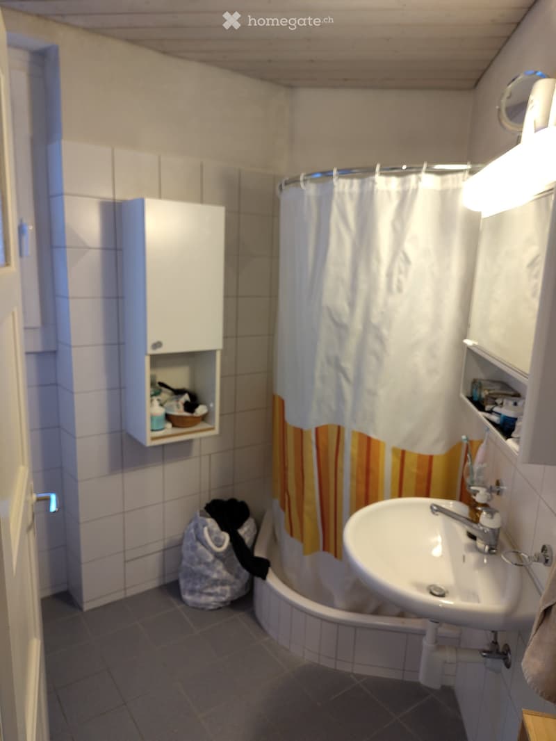 Befristet 1,5-Zimmer-Wohnung, 2 Katzen, 19.07- 7.10.2026 (2)