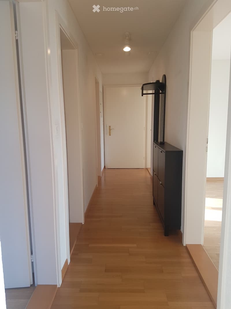 Schöne, helle Wohnung mit grossem Balkon (5)