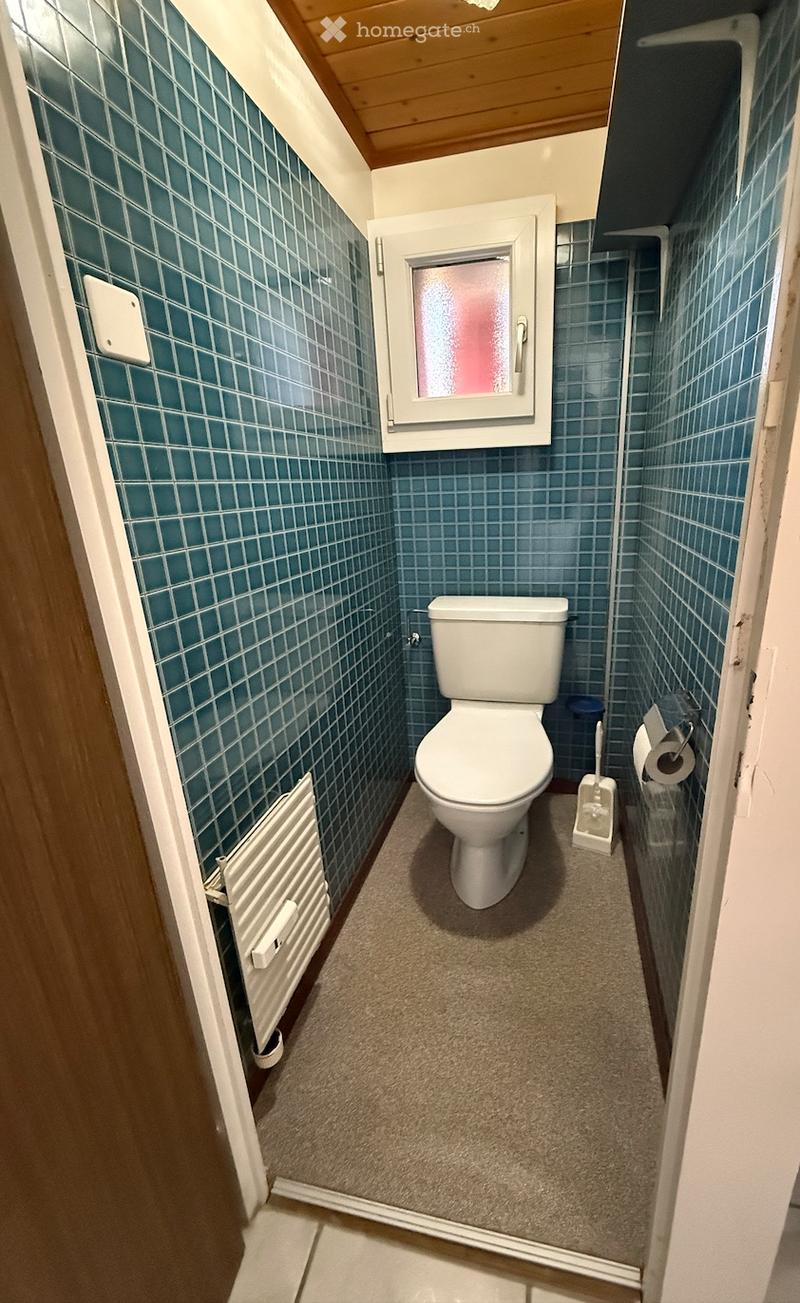 Kleine 4 Zimmerdachwohnung mit Seesicht in 6415 Arth (3)