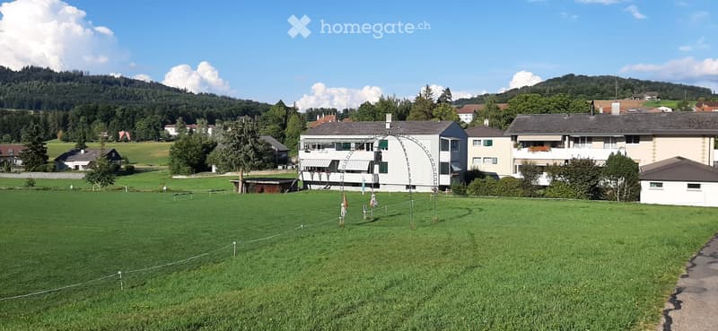 Charmante 2-Zimmerwohnung in Richigen bei Worb (1)