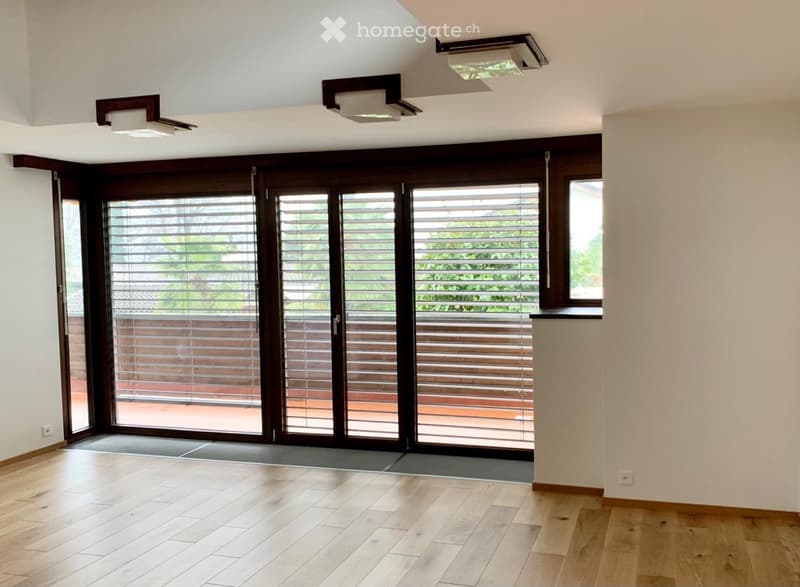 Affitto attico spazioso in villa (1)