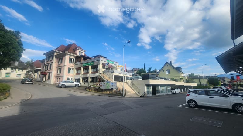 Moderne 5.5 Maisonettewohnungen (9)