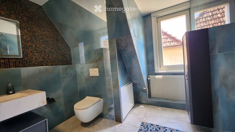 Moderne 5.5 Maisonettewohnungen (9)