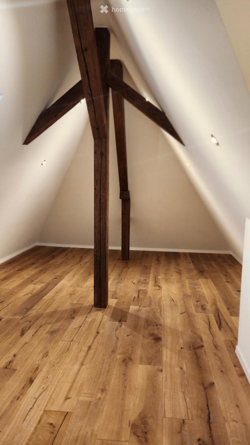 Moderne 5.5 Maisonettewohnungen (6)