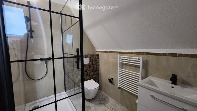 Moderne 5.5 Maisonettewohnungen (7)