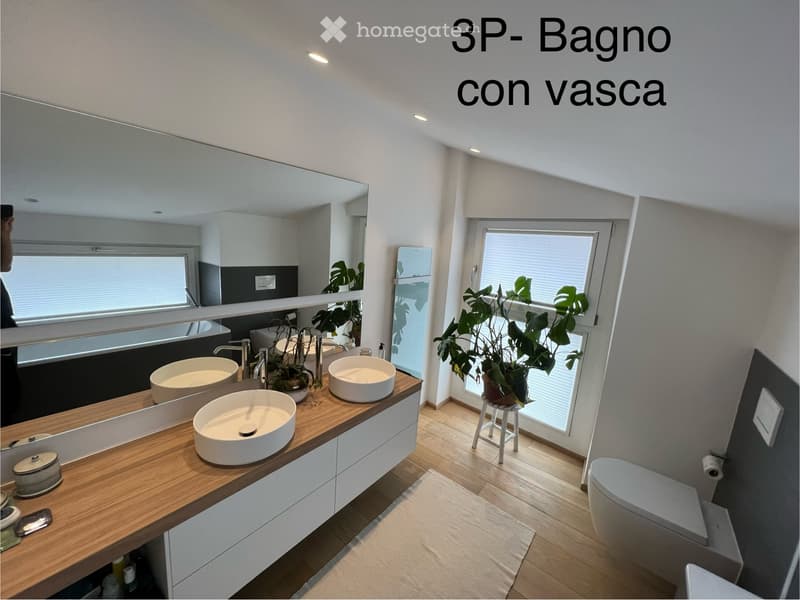 Casa Montagnola - Nucleo Scairolo (4)