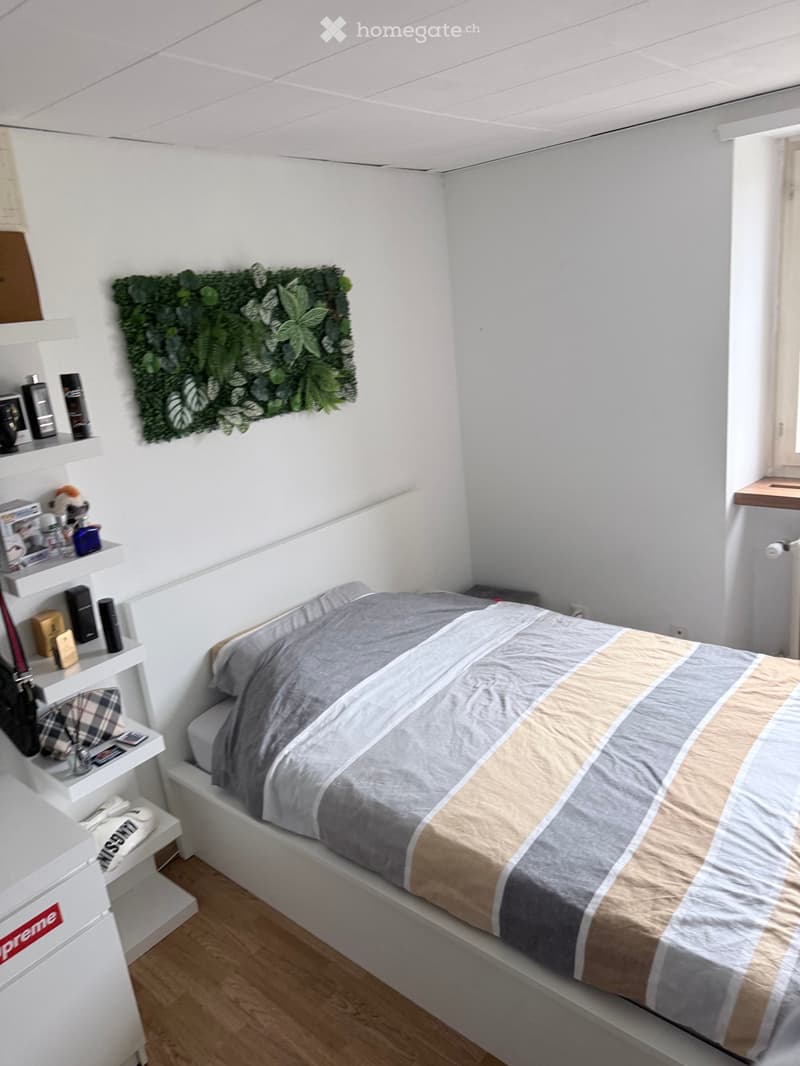 Chambre colocation Fribourg (2)
