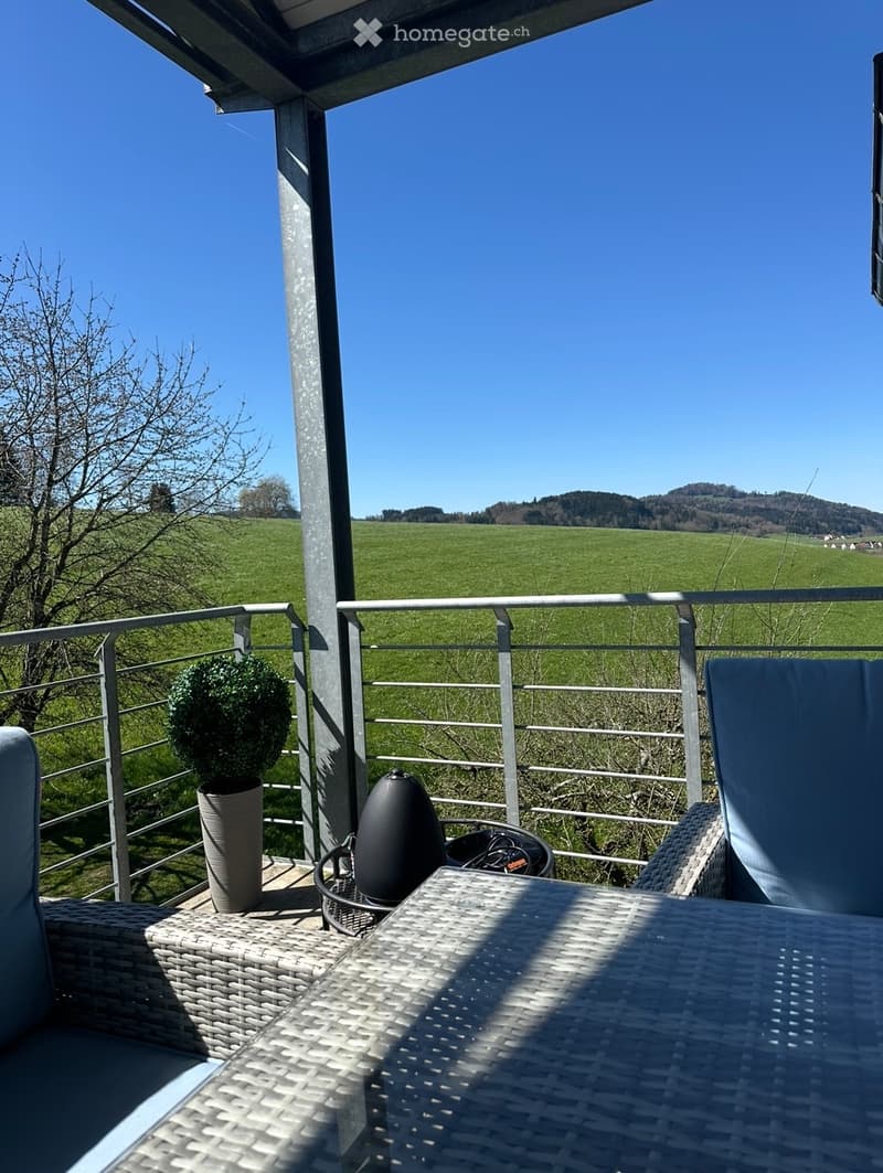 Grosszügige 5.5-Zimmer-Triplex-Maisonette Wohnung (4)