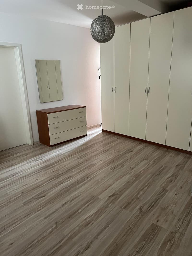 2.5 locali accogliente in zona tranquilla e ben servita (2)