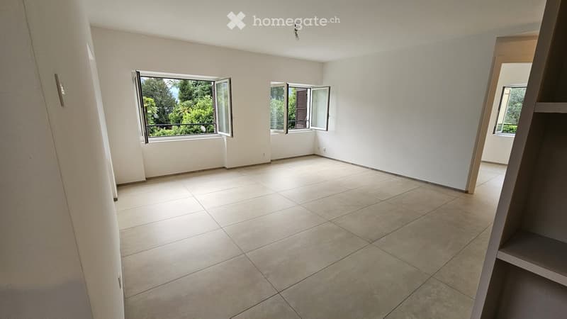 Appartamento 3.5 con terrazza e mansarda (4)