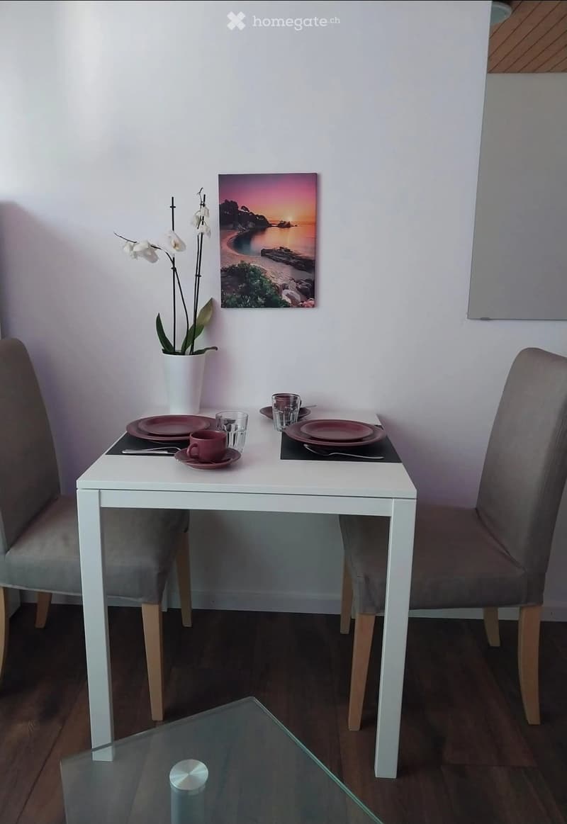 Studio komplett möbliert (3)