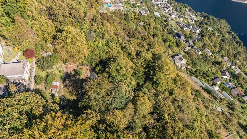 3500 m² Natur, Seesicht & Internetanschluss (5)