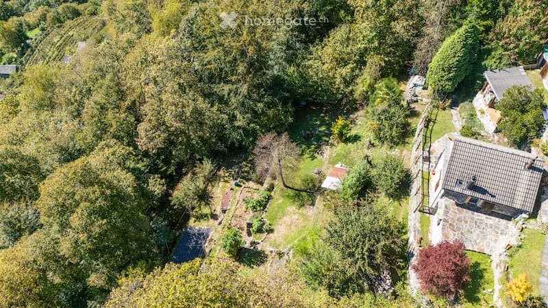 3500 m² Natur, Seesicht & Internetanschluss (1)