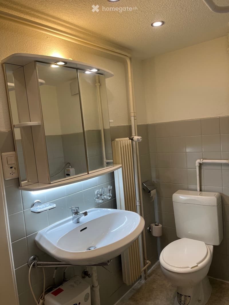 Altstatt Wohnung (5)