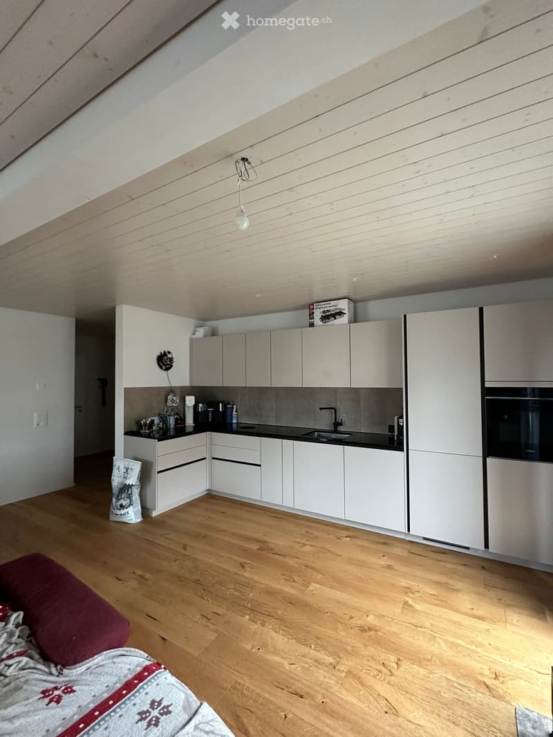 Wohnungsnachmieter gesucht (3)