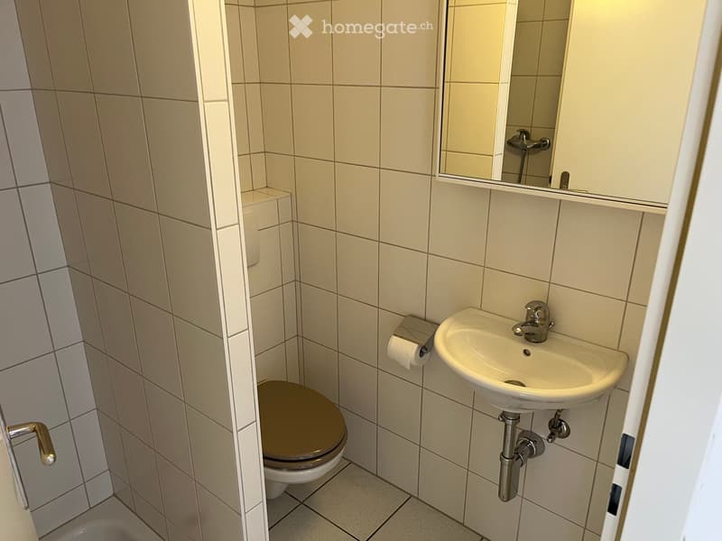 ***4.5-Zimmer-Wohnung **105m2**Ausrichtung Süden*** (4)