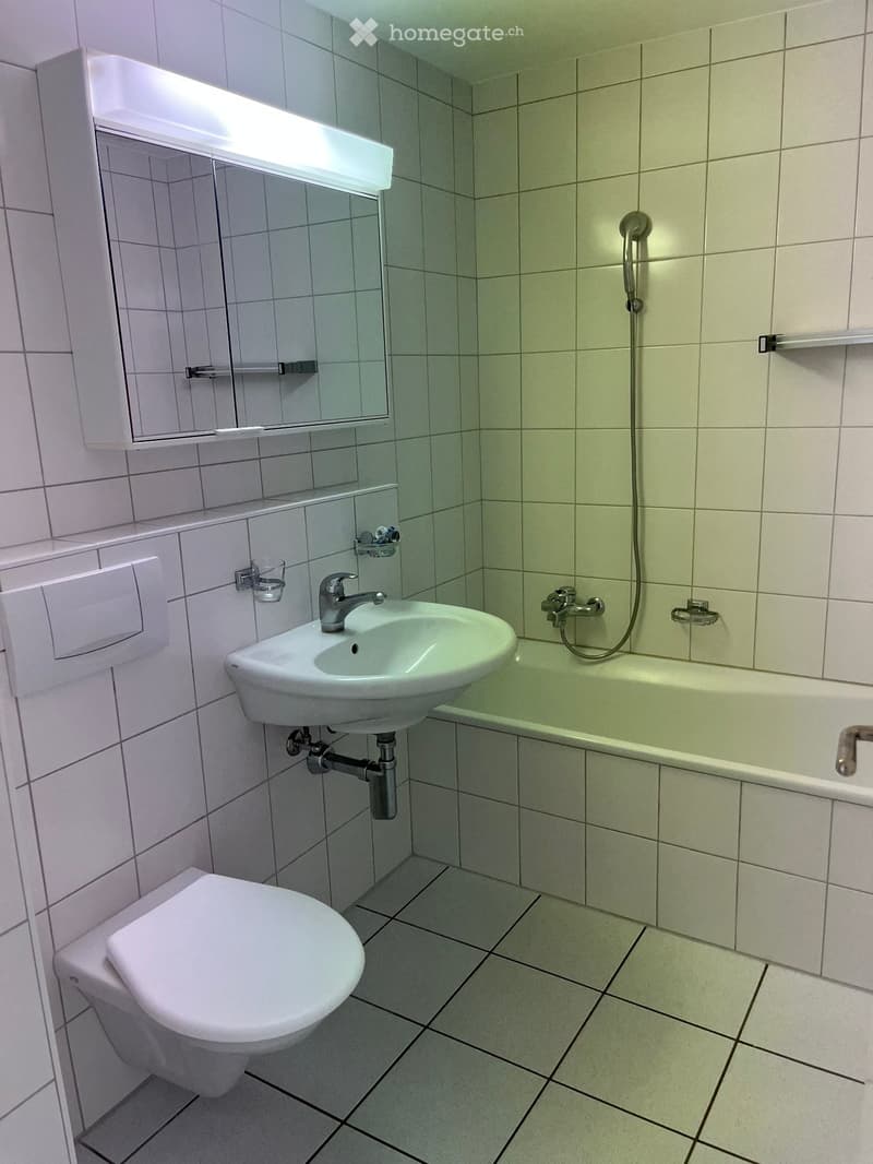***4.5-Zimmer-Wohnung **105m2**Ausrichtung Süden*** (3)