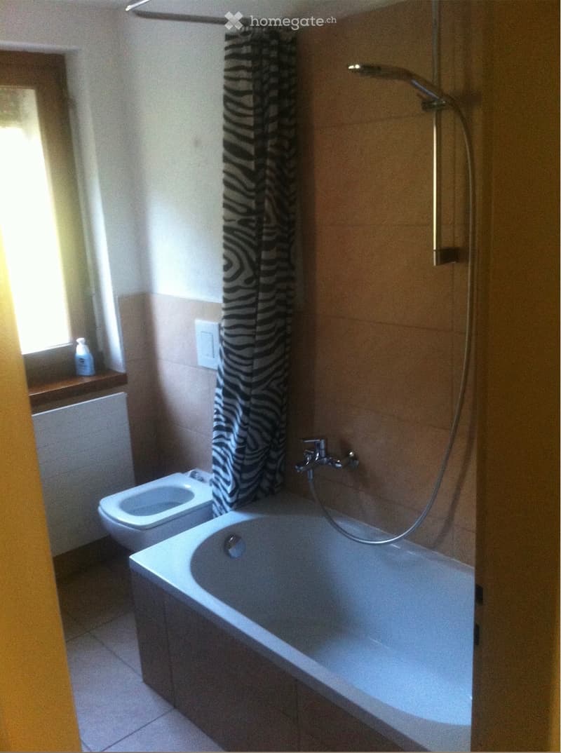 Affittasi appartamento ad Ambrì (5)