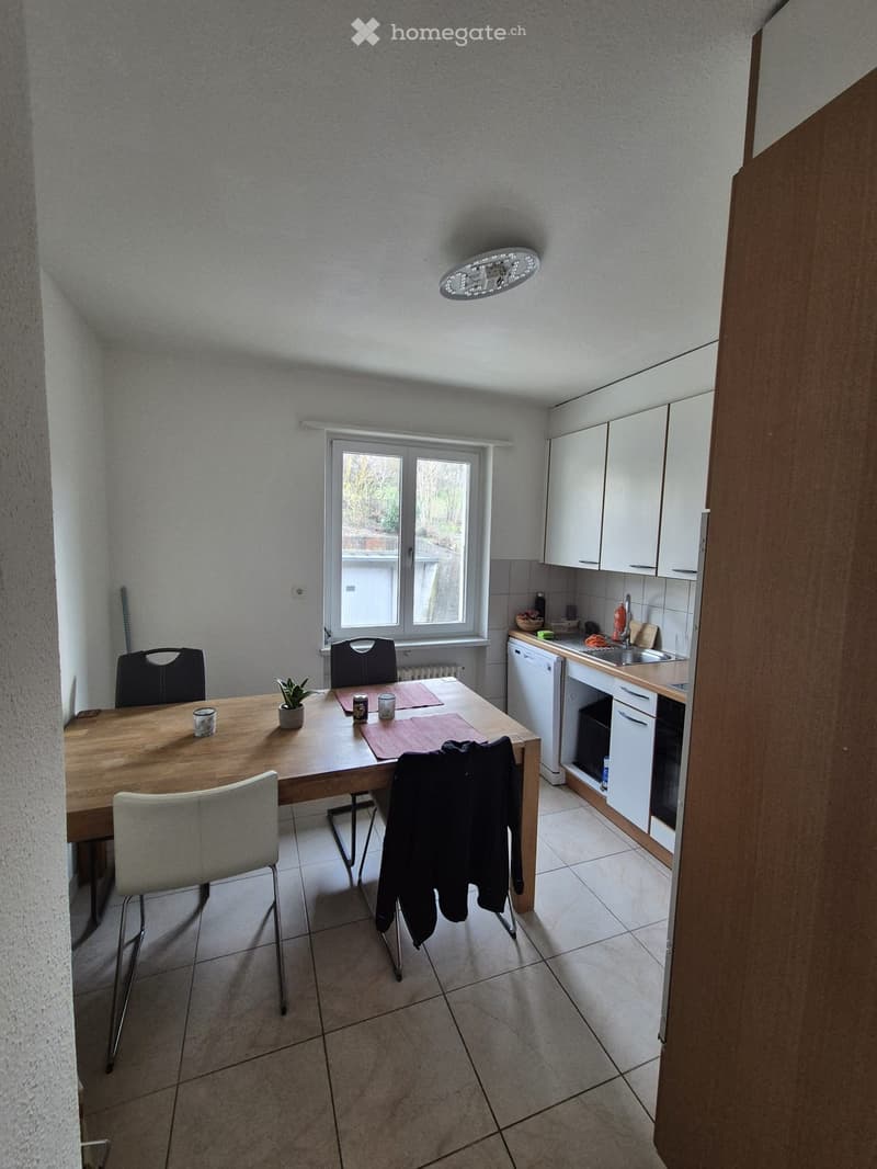 Schöne helle 4 Zimmer Wohnung 1.OG Links (3)