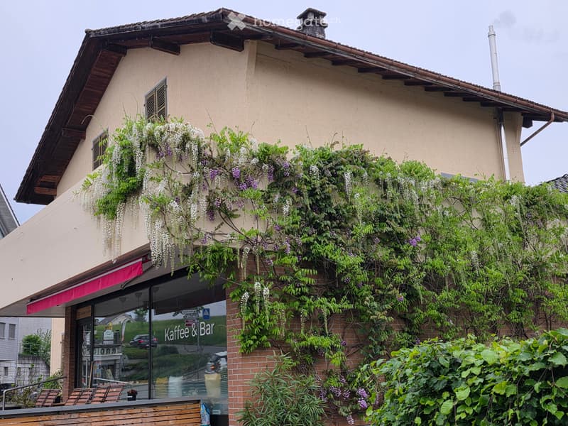 Zimmer mit Balkon (5)