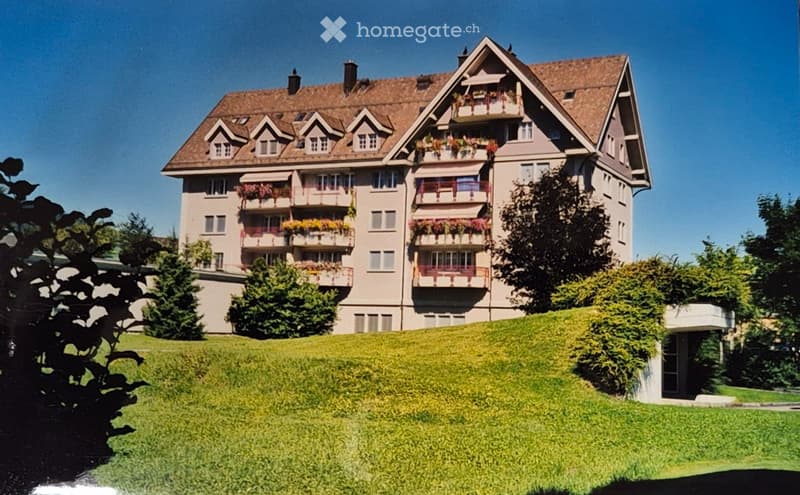 Heimelige Dachwohnung mit Charme (1)