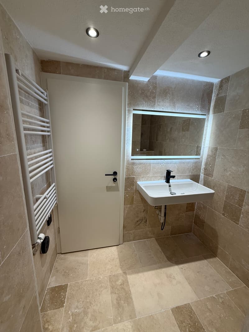 DesignerwohnungmitsonnigemSouterrainGarten&TerrasseSmartHome (4)