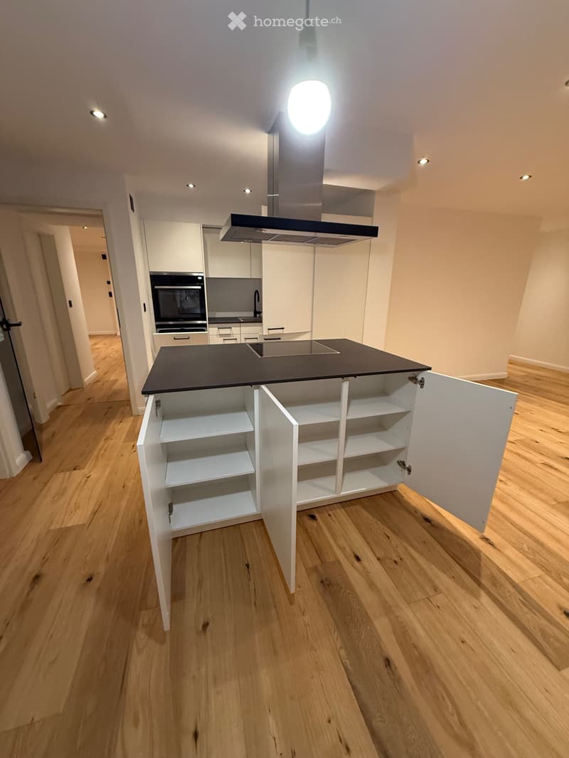 DesignerwohnungmitsonnigemSouterrainGarten&TerrasseSmartHome (2)