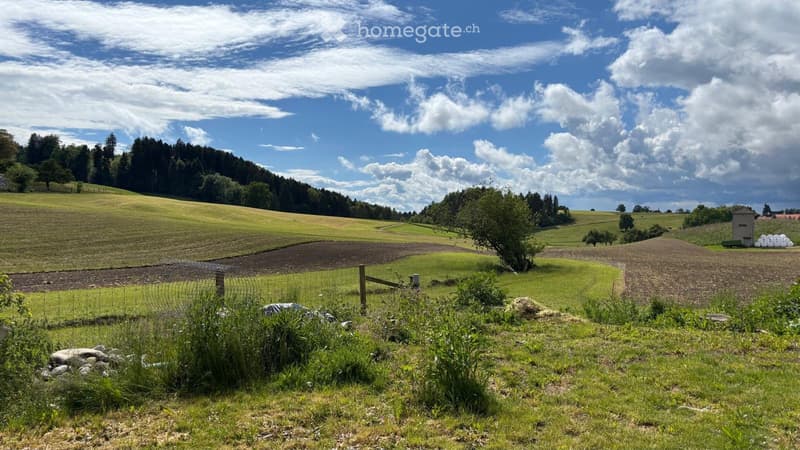 Modernes 4-Zimmer-Reihenhaus in ruhiger Lage in Tuttwil (2)