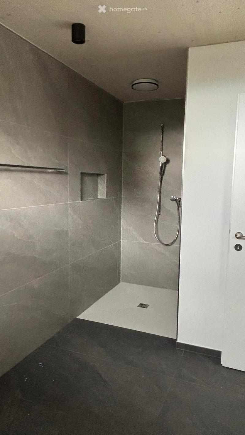 Modernes 4-Zimmer-Reihenhaus in ruhiger Lage in Tuttwil (5)