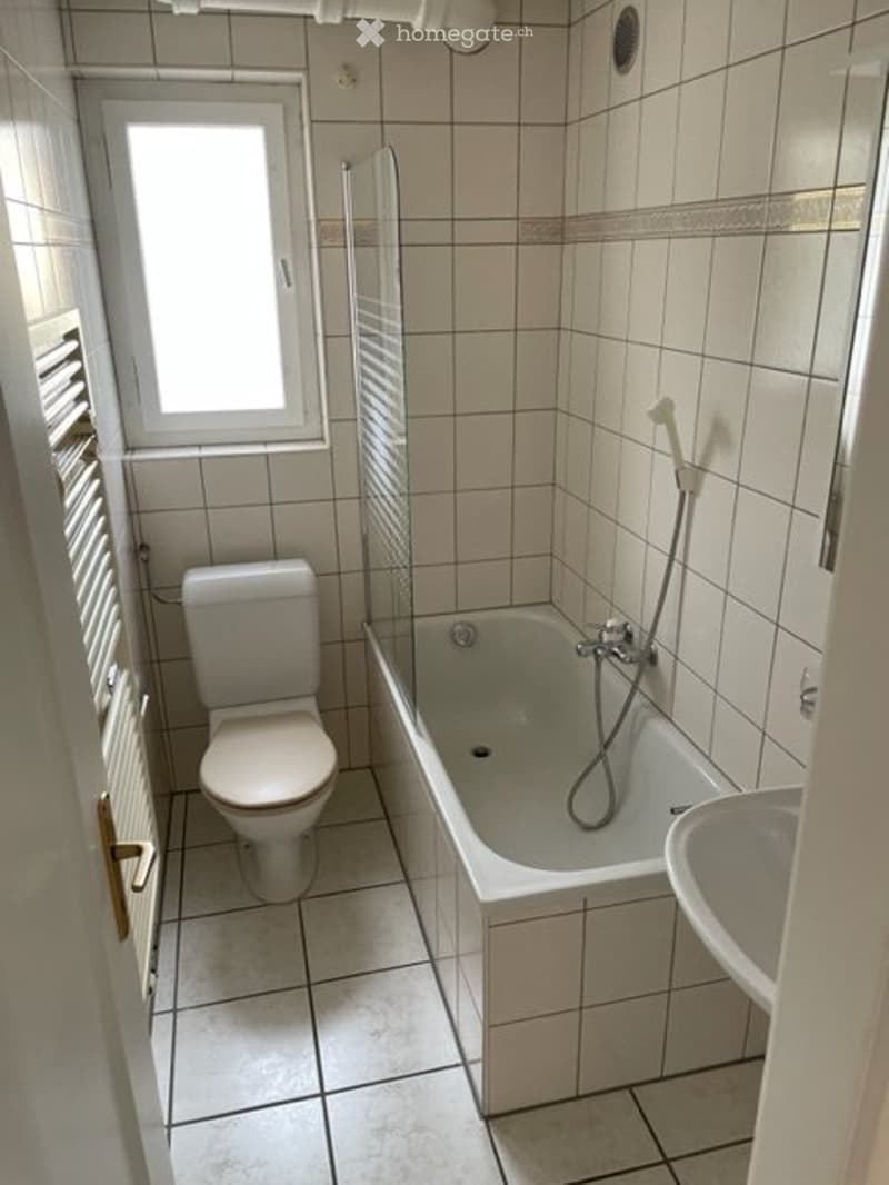Zu vermieten 3 Zimmerwohnung (2)